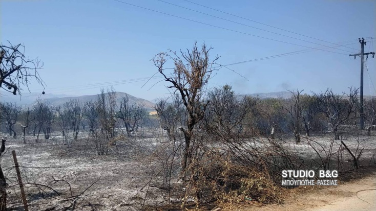 Φωτιά στη Νέα Κίο Αργολίδας 