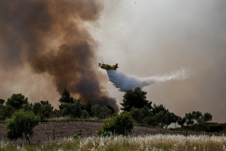 Φωτιά στην Κορινθία: Στιγμιότυπο από τον οικισμό Πευκενέα 