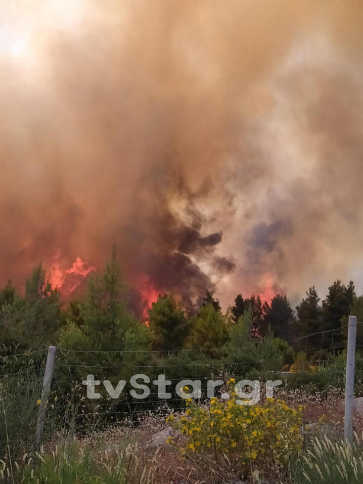 Φωτιά δίπλα στην Εθνική Οδό Αθηνών - Λαμίας στο ύψος του Μαρτίνου
