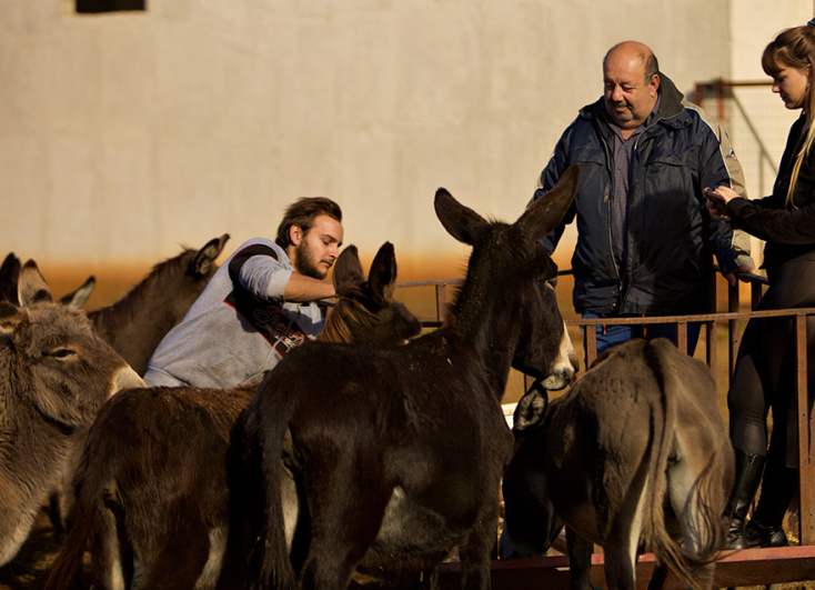 Meet Your Makers: Ο Γιώργος Τσιχουρίδης παράγει στην Κοζάνη γάλα γαϊδούρας 