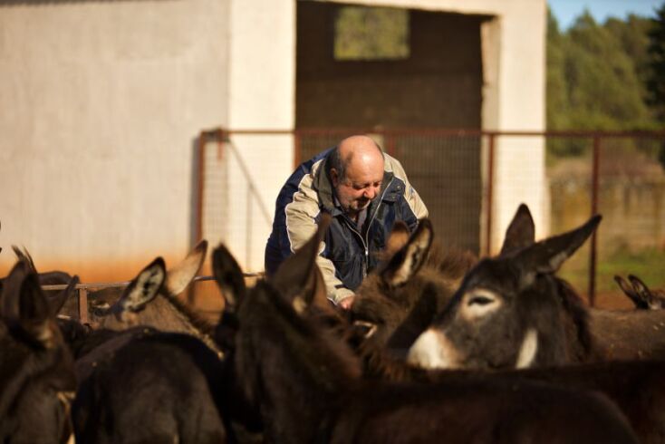 Ο κ. Γιώργος και τα γαϊδούρια του