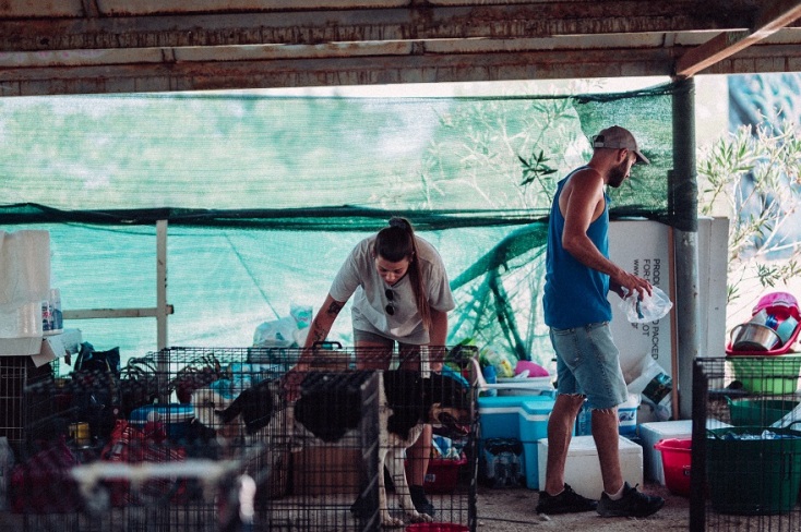 Στιγμιότυπο από τον σταθμό Γαλατσίου. 