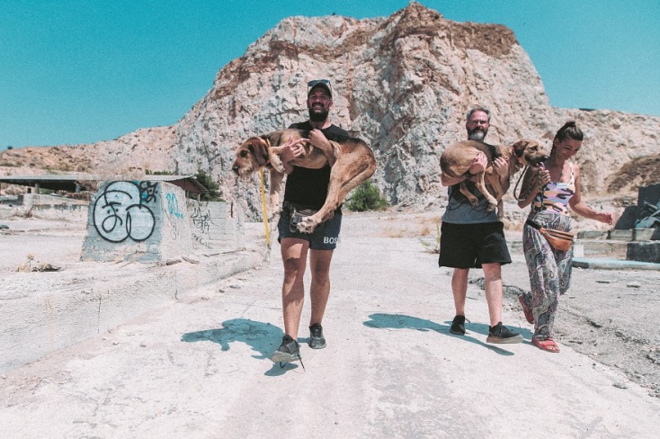 Στιγμιότυπο από τη μεταφορά πυρόπληκτων ζώων στον σταθμό Γαλατσίου. 