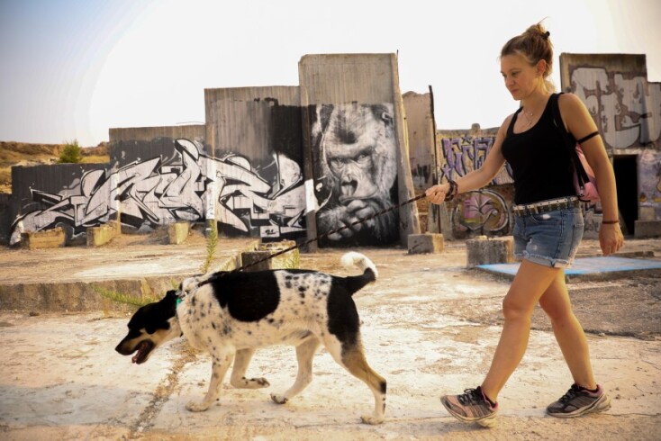 Γαλάτσι: Στιγμιότυπο από τον χώρο προστασίας ζώων από πυρόπληκτες περιοχές © EUROKINISSI/ΔΗΜΗΤΡΟΠΟΥΛΟΣ ΣΩΤΗΡΗΣ