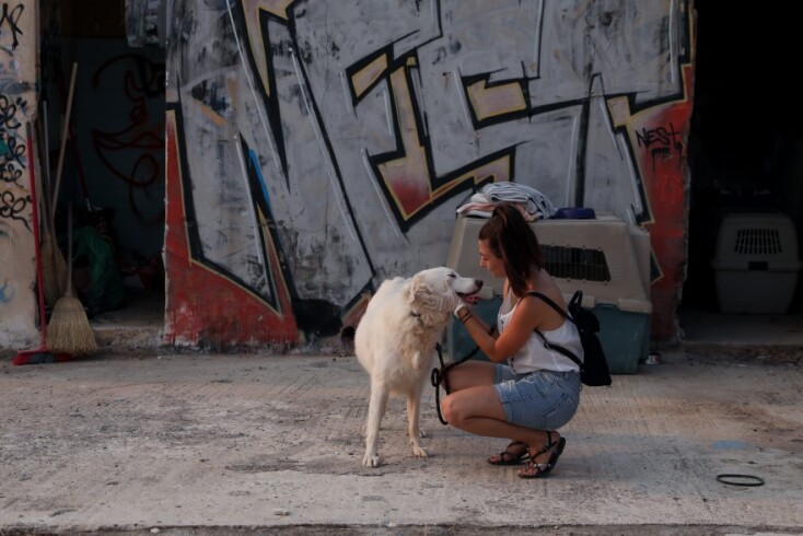 Γαλάτσι: Στιγμιότυπο από τον χώρο προστασίας ζώων από πυρόπληκτες περιοχές © EUROKINISSI/ΔΗΜΗΤΡΟΠΟΥΛΟΣ ΣΩΤΗΡΗΣ