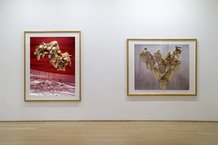 Boyd Webb I Bernier/Eliades