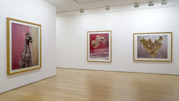 Boyd Webb I Bernier/Eliades