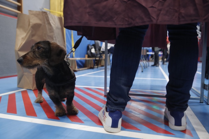 Προεδρικές Εκλογές στη Γαλλία: Όσο πολίτης ψηφίζει, ο σκύλος του περιμένει έξω από παραβάν
