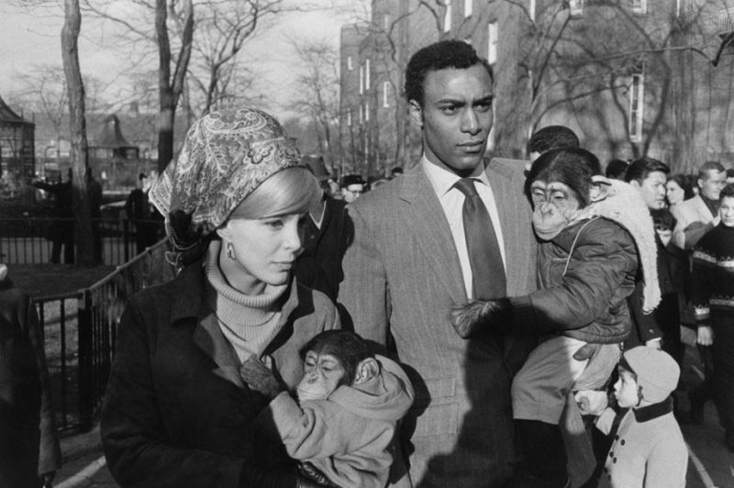 garry-winogrand-woman-and-man-with-chimpanzee-apes.jpg