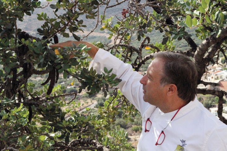 Γιάννης Μπαξεβάνης