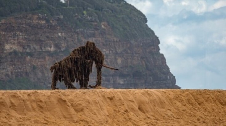 Γλυπτό από φυσικά υλικά δια χειρός Πιτ Ρας