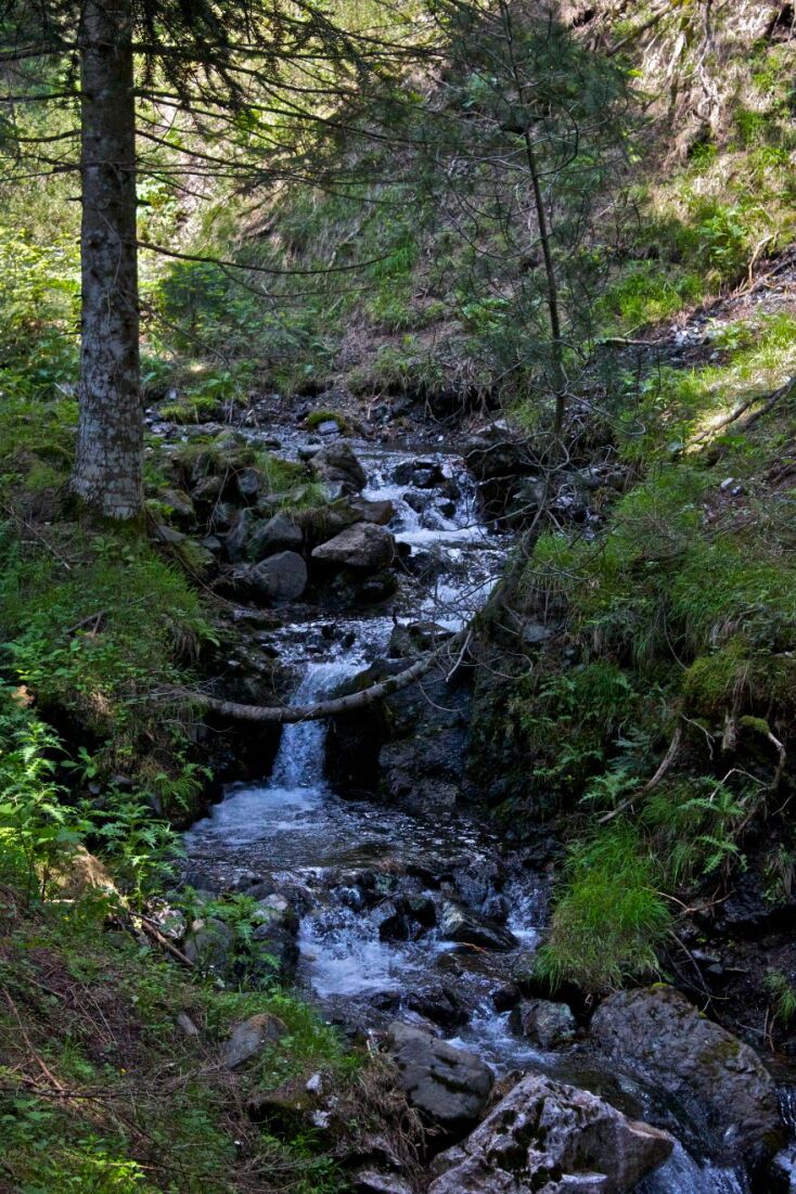 Πεζοπορία στο Μέτσοβο