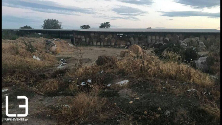 Δολοφονία επιχειρηματία Δημήτρη Γραικού 