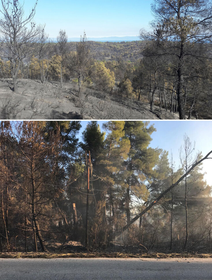 halkidiki-fire.jpg