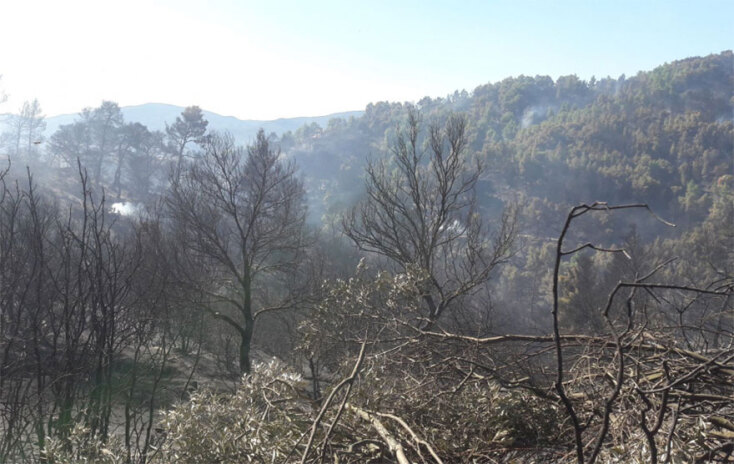 halkidiki-news-fire.jpg
