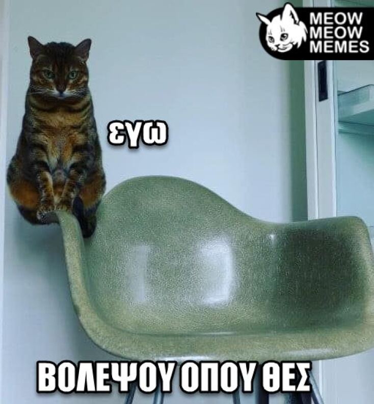 Αστεία memes, ατάκες, YOLO βίντεο, virals που ανέβηκαν στο διαδίκτυο και μας έκαναν να γελάσουμε