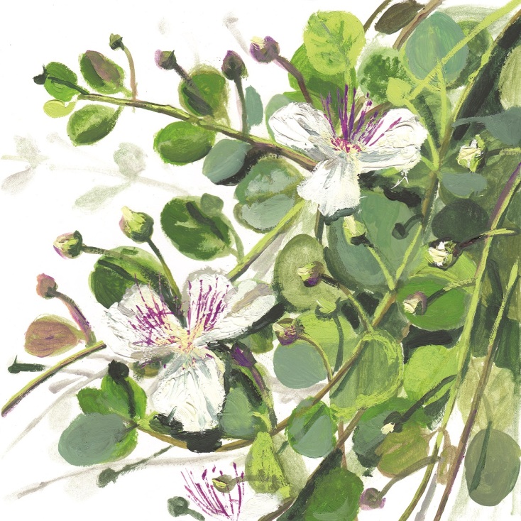 Έργο του Νεκτάριου Αποσπόρη για το βιβλίο της Ίριδας Κρητικού "Hortus Conclusus"