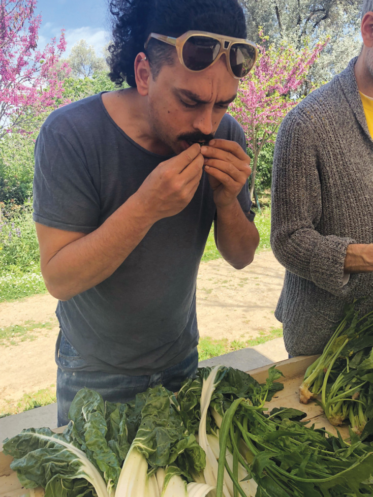 Χρόνης Δαμαλάς