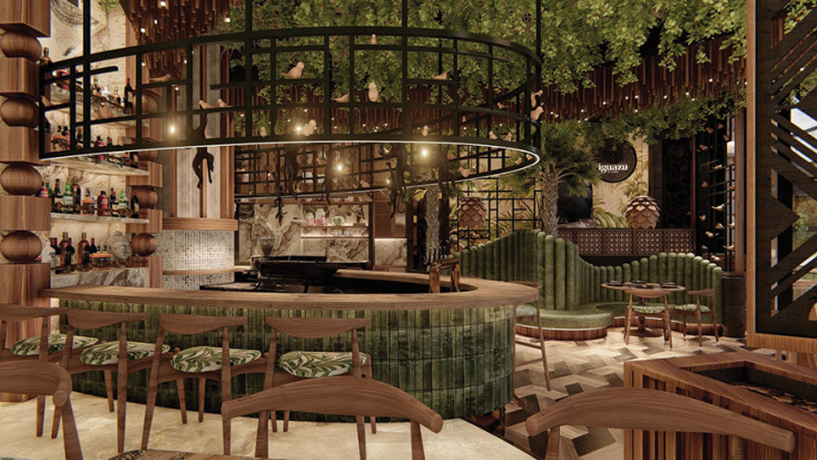  IGUAZU  Η Βραζιλία του Γιάννη Παρίκου 