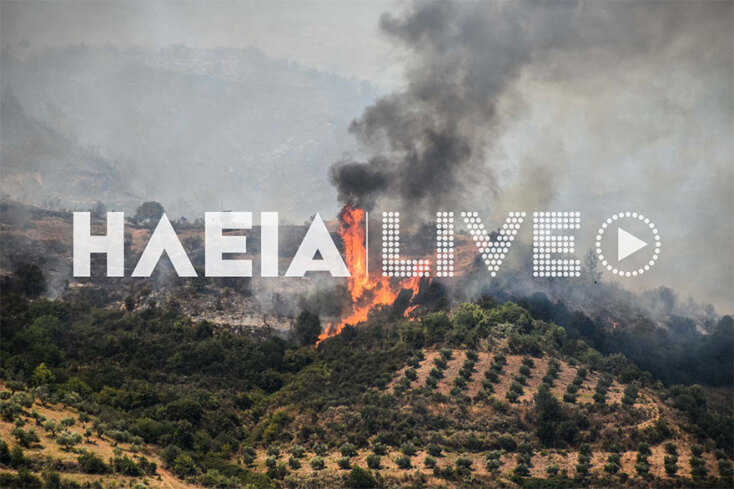 Φωτιά στην Ηλεία: Ενισχυμένοι άνεμοι δυσχεραίνουν την επιχείρηση κατάσβεσης στην περιοχή Ωλένη