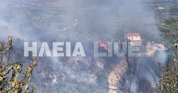 Δίπλα στα σπίτια έφθασαν οι φλόγες στην Ανδρίτσαινα