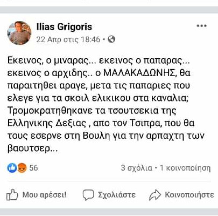 ilias-grigoris-adonis-epithesi.jpg