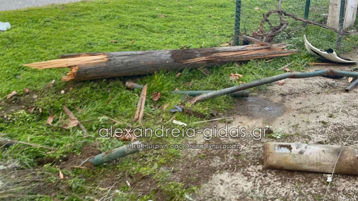Αυτοκίνητο παρέσυρε και έκανε «κομμάτια» κολόνα της ΔΕΗ στο Νησέλι Ημαθίας