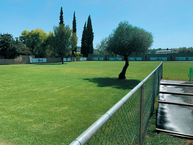 Professional Dog Trainers Institute