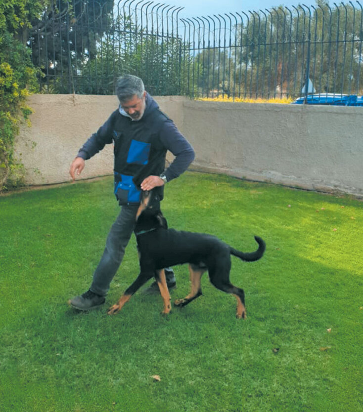 Professional Dog Trainers Institute