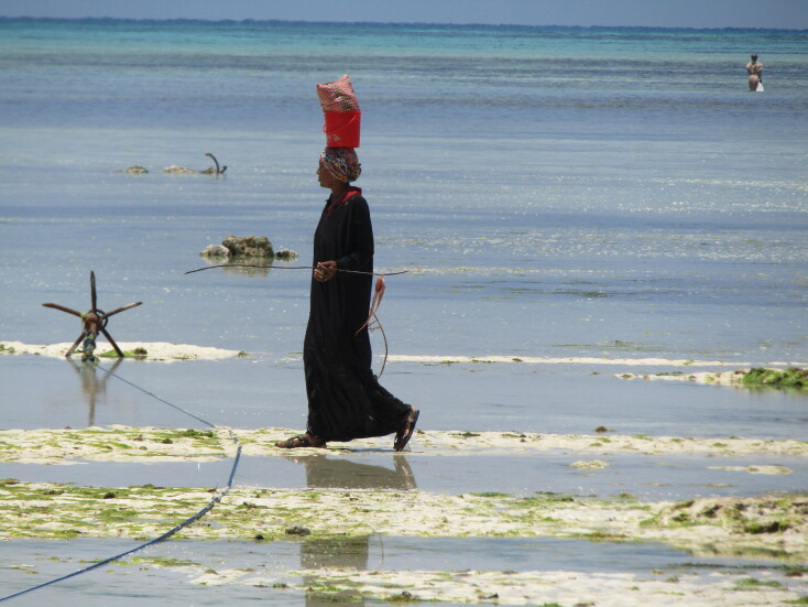 Ταξίδι στη Ζανζιβάρη