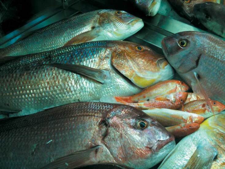 Το Αγκίστρι