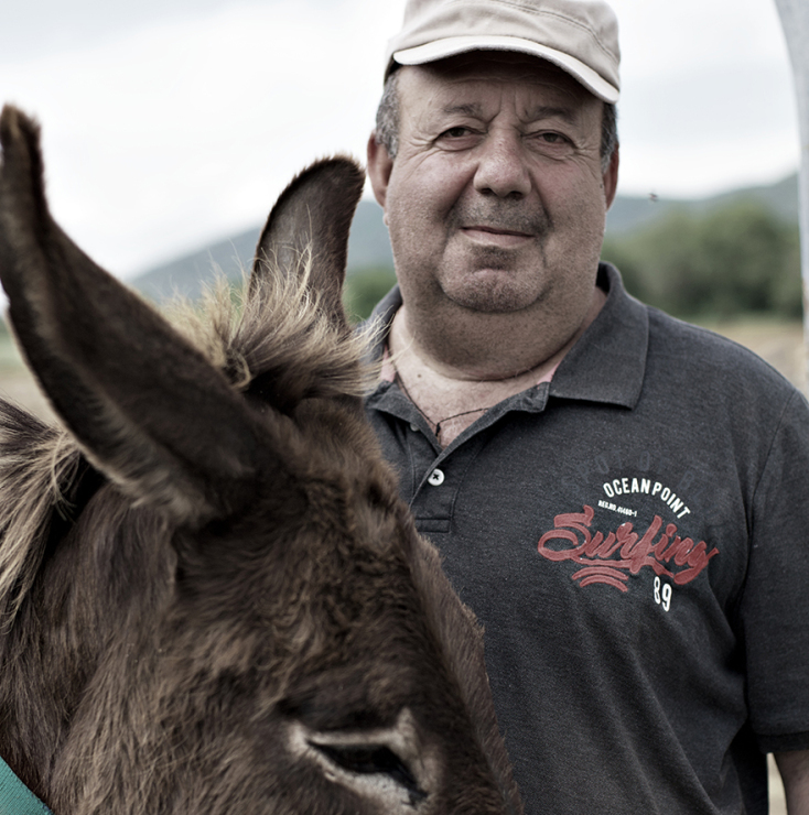Meet Your Makers: Ο Γιώργος Τσιχουρίδης παράγει στην Κοζάνη γάλα γαϊδούρας