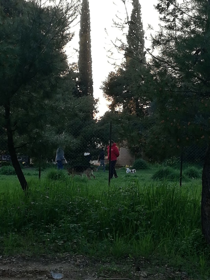 #menoumespiti με την Athens Voice εν μέσω της πανδημίας του κορωνοϊού: Η Λίνα Στεφάνου τρέχει ακούγοντας μουσική.