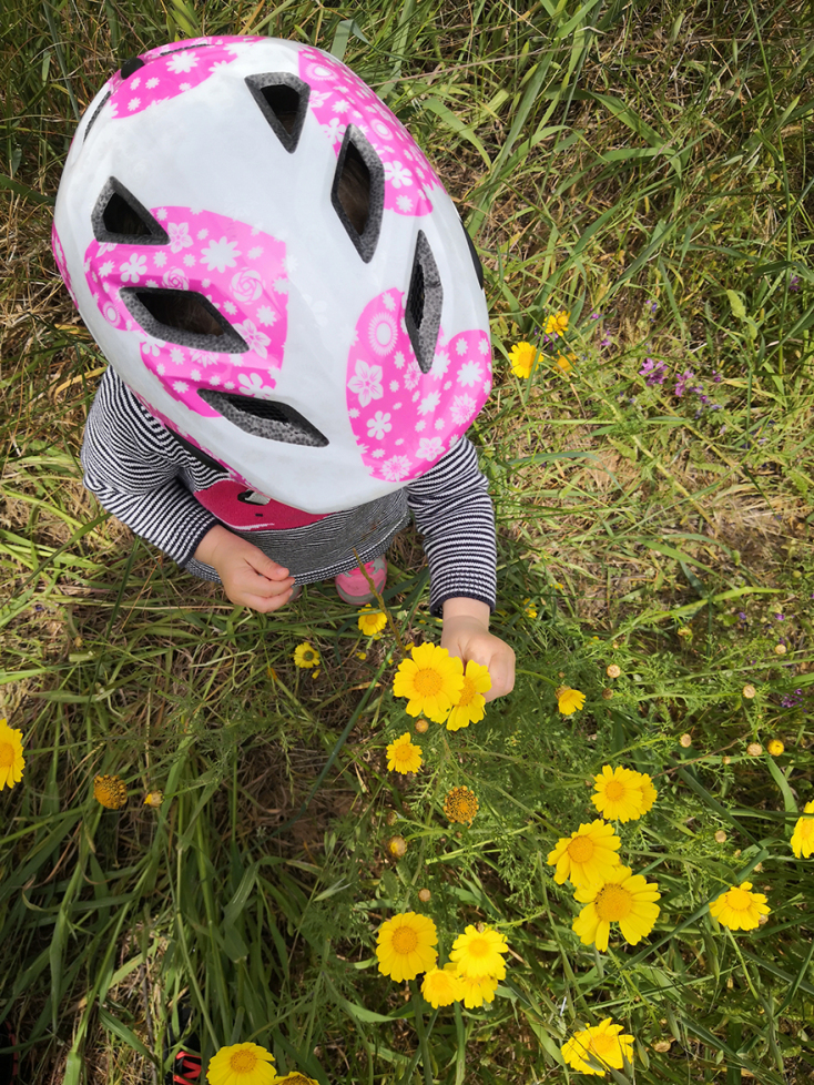 H Διευθύντρια Επικοινωνίας &amp; Δημοσίων Σχέσεων των εκδόσεων Διόπτρα, Αλεξάνδρα Αυγερινού γράφει γι' αυτά που έμαθε από την καραντίνα.