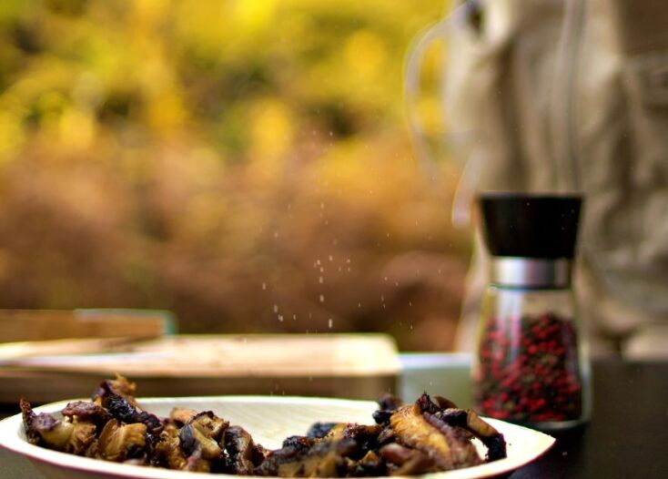 Ο Ανδρέας πάντα κουβαλάει στις τσέπες του αλατοπίπερο, στον σάκο του το σπαστό του τηγάνι και ένα μικρό γκαζάκι για να μπορεί να μαγειρεύει τα μανιτάρια που θα μαζέψει επιτόπου