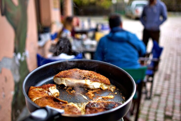 Macrolepiota procera