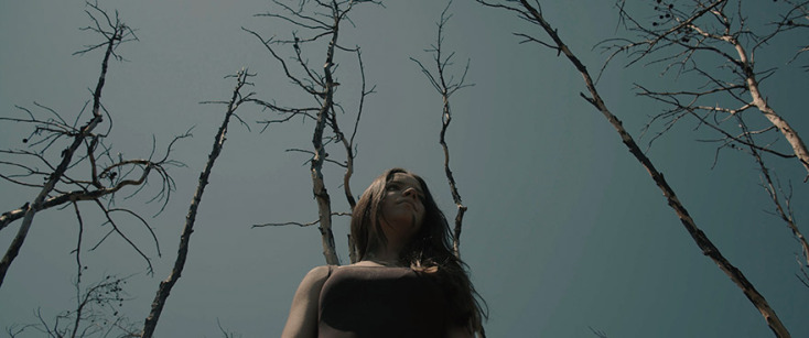 «Το τελευταίο δέντρο»: Η ταινία του Βαγγέλη Νάκη και της ομάδας του για την καταστροφική πυρκαγιά στο Μάτι το 2018 