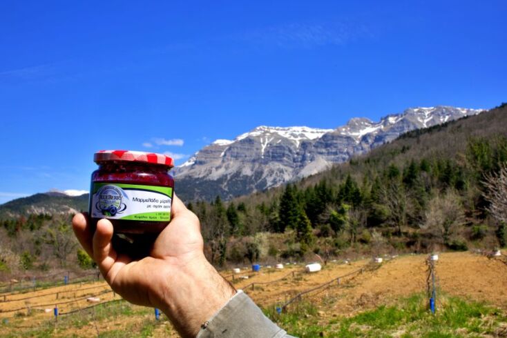 Μαρμελάδα Μύρτιλλο