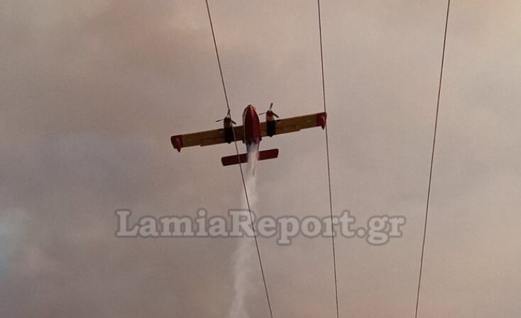 Φωτιά δίπλα στην Εθνική Οδό Αθηνών - Λαμίας στο ύψος του Μαρτίνου 