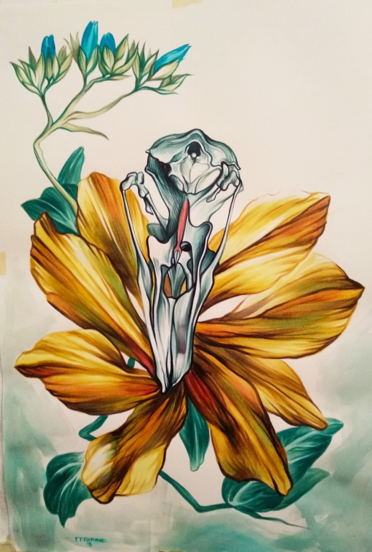 Giannis Gigourtakis - Rebirth of a Swan