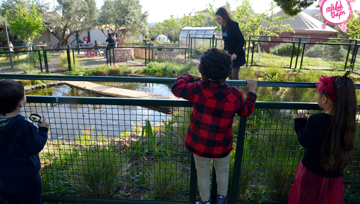 Το περιβόλι της Βάρης
