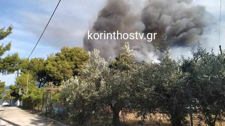 Η φωτιά στα Ίσθμια ξέσπασε σε περιοχή με χαμηλή βλάστηση, δάσος και ελαιόδεντρα