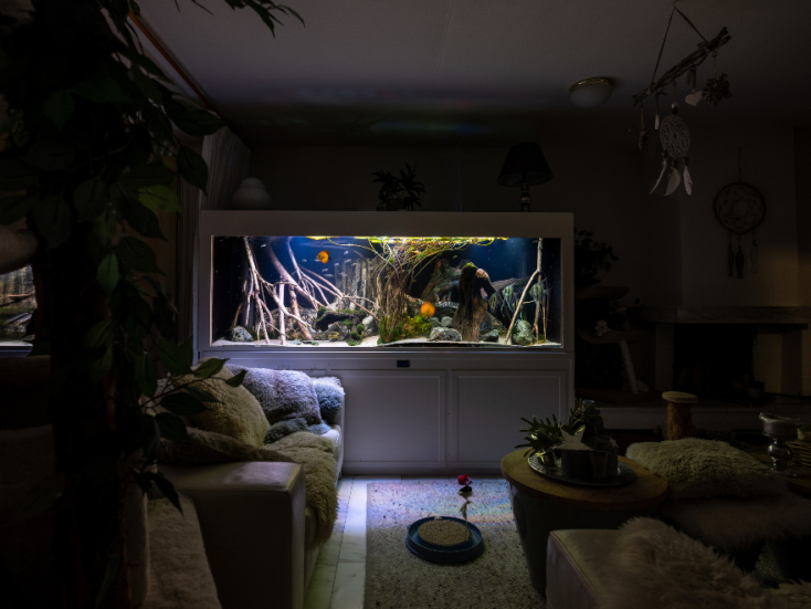 Φωτογραφία φιναλίστ