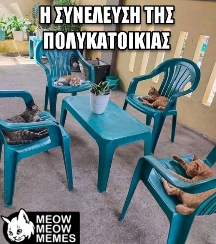 Αστεία memes, ατάκες, YOLO βίντεο, virals που ανέβηκαν στο διαδίκτυο και μας έκαναν να γελάσουμε