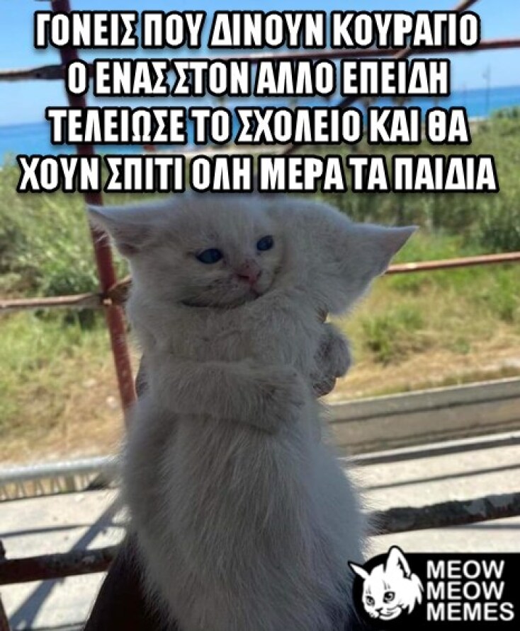 αστεία εικόνα