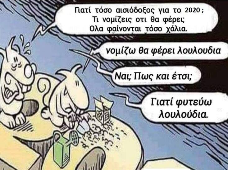 kalo.jpg