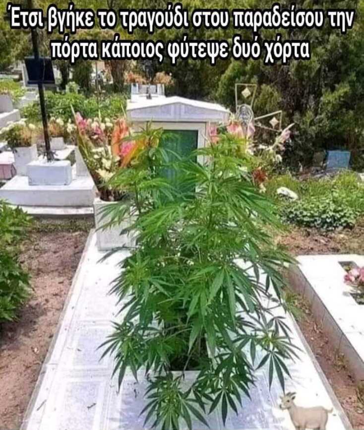 αστεία ατάκα