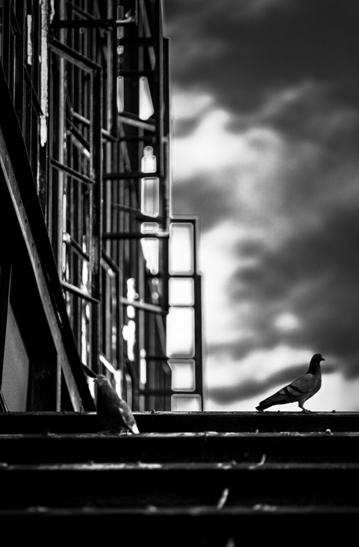 Φεστιβάλ Αθηνών &amp; Επιδαύρου / «Καρτερία» − Η ζωή και η αντοχή της, διαμέσου του χρόνου © Antonios Androulidakis