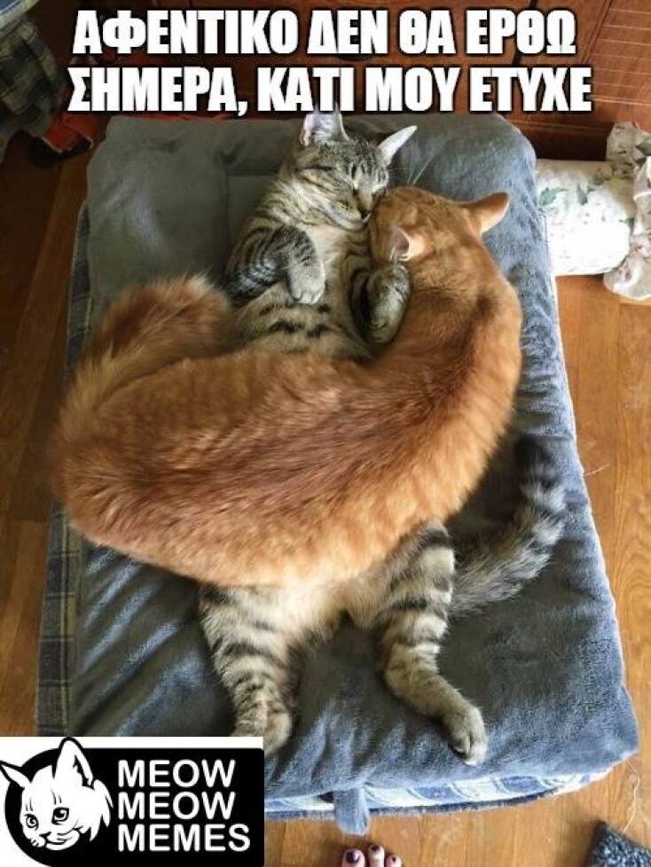 Τα yolo της Πέμπτης