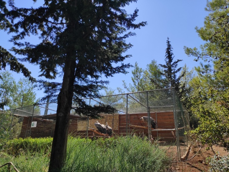 Οι ειδικά διαμορφωμένοι χώροι στο κέντρο επανένταξης της ΑΝΙΜΑ στον Βοτανικό Κήπο.